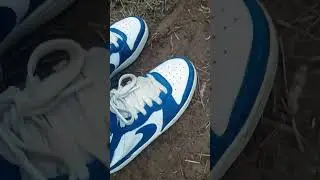 Las Nike