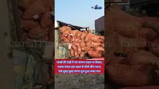 Truck overturned while moving on the road #trending #videoviral #trendingnews #couple #viral