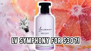 Affordable LV Symphony Clone Inspiration (Lucianno Melody)