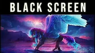 Connect With Your Spiritual Guide! Attract Miracles & Activate Intuition Power | Black Screen Music
