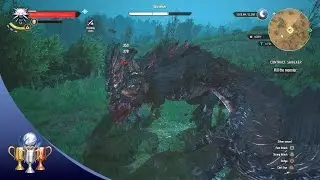 The Witcher 3 Wild Hunt - Shrieker Contract Quest Walkthrough and Trophy Guide