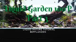 Bepflanzung vom Liquid Garden 100P 160L Aquascape PART III I Liquid Nature
