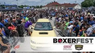Going to BoxerFest 2021.