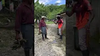 El mesquino