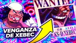 BARBANEGRA VS LAUGH TALE &ndash; LA VENGANZA DE XEBEC QUE NADIE ESPERABA 😨