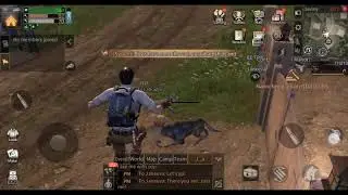 Dog vs wolf lifeafter