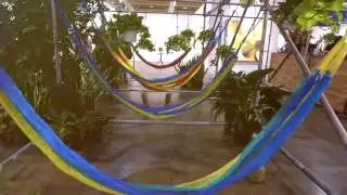 Art Toronto 2016 Fair Highlights