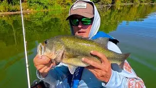Fall Bass Fishing in Ohio!