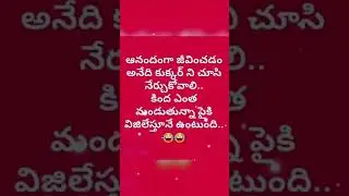 funny quotes #funny #fun #comedy #shortsfeed #shorts #short #ytshort #ytshorts #yt #funnyquotes