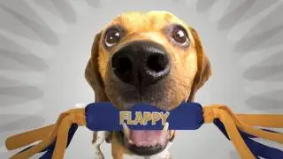 Flappys Make Dogs HAPPY