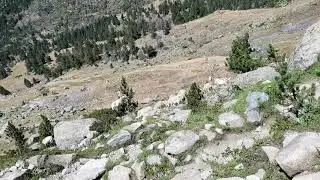 Refugio de La Renclusa sheeps in Pyrenees mountains