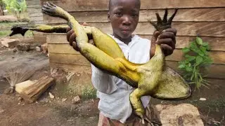 THE BIGGEST FROG IN THE WORLD in 2023