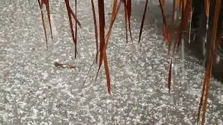 HAILSTORM in Assam #hailstorm #guwahati #assam #snowfall #assamhailstorm #northeastindia