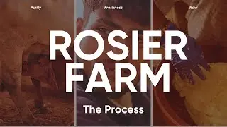 A Soothing Day at Rosier Farm | The Calm, The Craft, The Purity 💛