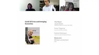 Online panel discussion: Covid-19 Crisis and Emerging Economies
