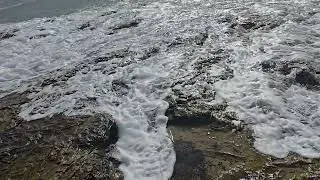 Natural Bridges State Beach tide pools