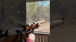 🇩🇪 Gew 88 Carbine Range Test at 50 yards 💥 with @Gunpowder_Acres