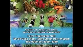 Voices: Commonwealth/Caribbean Seasonal Agricultural Workers' Programme 3