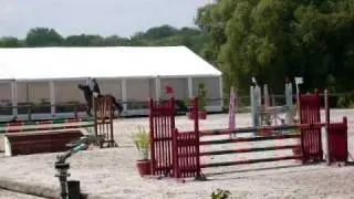 Salvia des pins CC Label 4ans qualificative