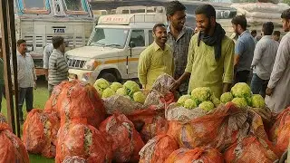 live farmer | live streaming | vegetable market live #live #youtubelive #livecontent #livestream