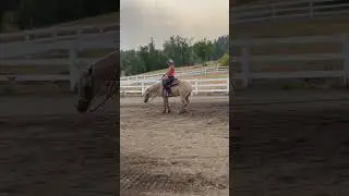 Improvement on my reining horses turn around!