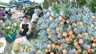 daily life ht : The entire hill pineapple garden is harvested and brought to the market to sell
