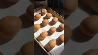 Peanut Butter Easter Eggs 🪺 #easter #eggs #recipe