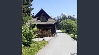 Good Forest
