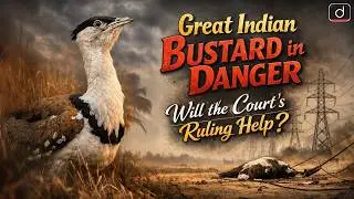 Great Indian Bustard   | What is Supreme Court&rsquo;s New Ruling?  | Latest Update | Drishti IAS English