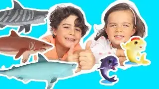 SURPRISES REQUINS et DAUPHINS MAGIQUES - COLLECTION SHARKS and CO et DAUPHINS MAGIKI - D&eacute;mo Jouets