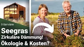 Seegras als nachhaltige Haus D&auml;mmung ? Wie ist &ouml;kologische & wirtschaftliche Ernte wirklich m&ouml;glich?