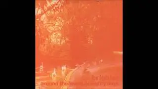 Brighter - Tinsel Heart