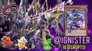 @IGNISTER DECK NEW CARDS 2024 | REPLAYS 📼 + DECKLIST 📝 | EDOPro DUELS