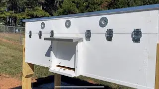 New Horizontal Hive