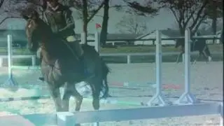 alltech national horse show 2011