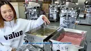 SY-800 Automatic falafel arancini making machine