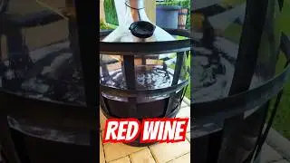 Making Red Wine at Home | Macerating grapes, pressing grapes, demijohn