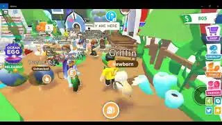 Ocean egg countdown - Adopt Me