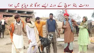 new p 15