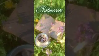 Aesthetics PART 2: Naturecore 🌲 #naturecore #cottagecore #liminalspace #aesthetic #aesthetics