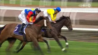 Electric Impulse &ndash; Melbourne Cup Carnival Country Final &ndash; Crown Oaks Day, Race 6