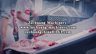 Moving towards a modern pig slaughtering assembly line 5