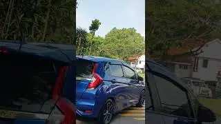monitor lizard scared to hit with the car running so fast #monitorlizard  #scared #running