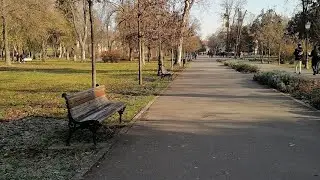День платежей. Иду в банк. Пирог из Lidl. Белград. 13.12.2022.