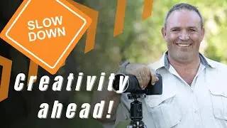 Unique Wildlife Photography : Mastering Intentional Camera Movement