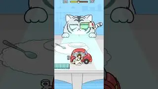 HİDE&SEEK CAT ESCAPE 51🐅 #catescapegame #hideandseekgame #cat