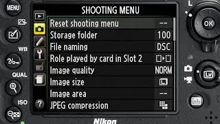 How to enable the histogram on the Nikon D3300