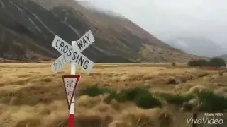 TranzAlpine Scenic Train