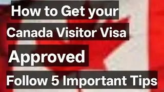 5 Things MUST KNOW Requirements For Visitor Visa Success & Approval rate for Canada Visa #canadavisa