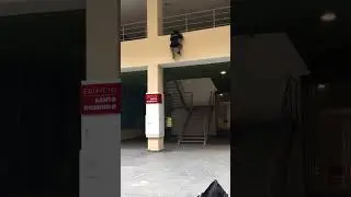 #cuba #parkour #overway #parkourcuba #content #contenido